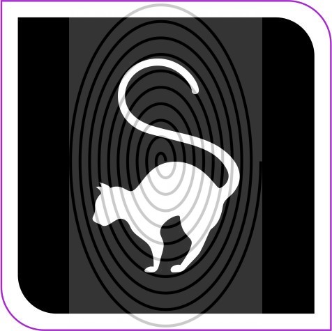 Cica (css0027_5) Cica (css0027_5)