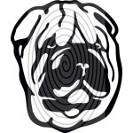 Shar pei fej 2. - autómatrica, autódekor