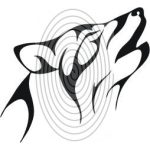 Akela (css_orias_0003)