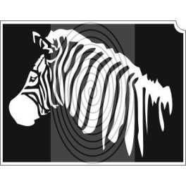 Zebra (css_orias_0004)