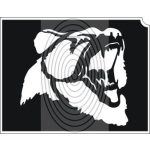 Grizzly medve (css_orias_0006)