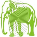 Elefánt (css_orias_0016)