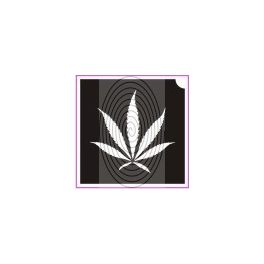 Kender, cannabis levél (csss0052)