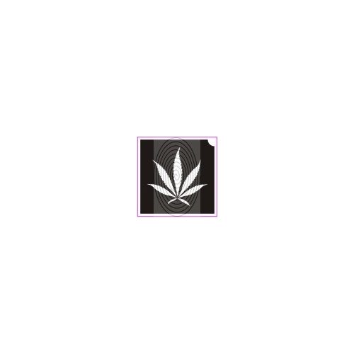 Kender, cannabis levél (csss0052)