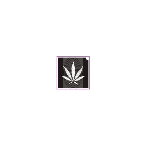 Kender, cannabis levél (csss0052)