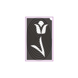 Tulipán (csss0125)