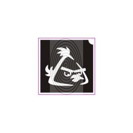 Angry bird No07 (csss0176)