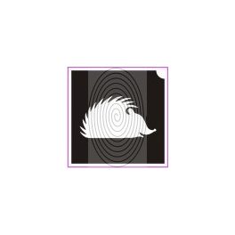 Sün (csss0177)