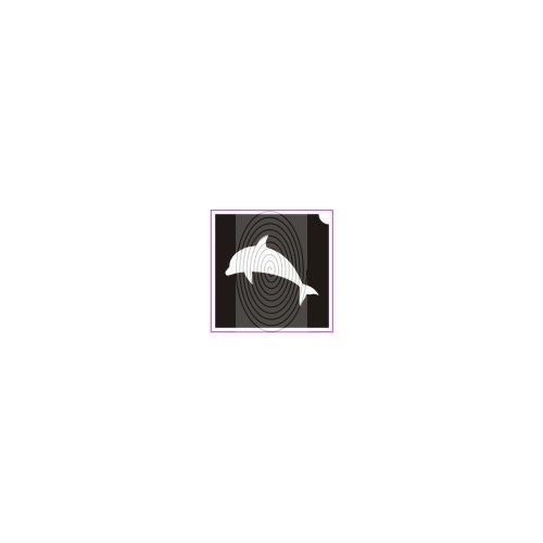 Palackorrú delfin (csss0189)
