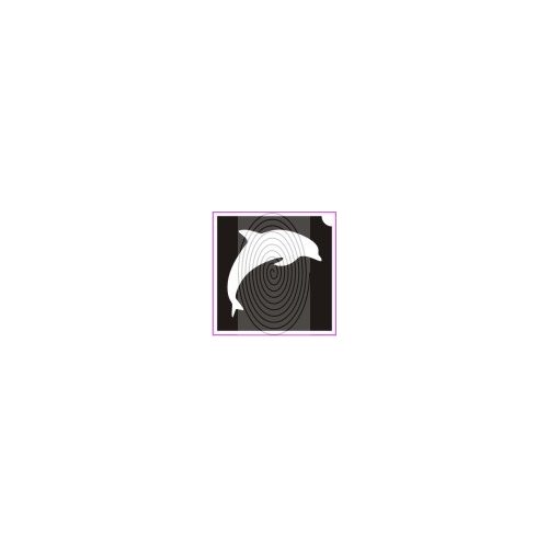 Játékos delfin (csss0238)