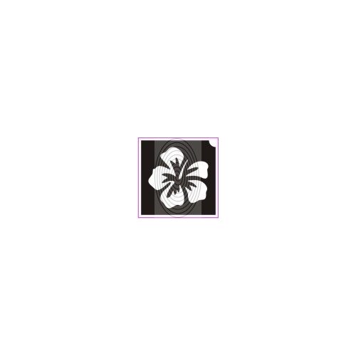 Orchidea (csss0242)