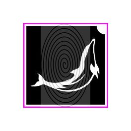 Delfin No02 (csss0386)