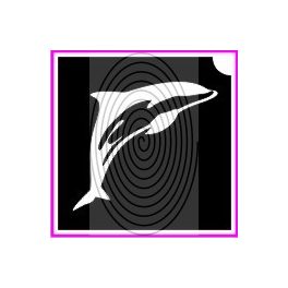 Delfin No03 (csss0387)