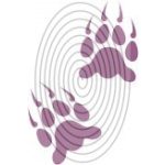 Maci tappancs (csss0473)
