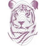 Tigris fej (csss0504)