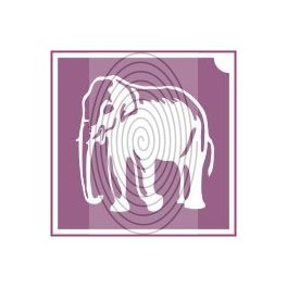 Elefánt 2 (csss0524)