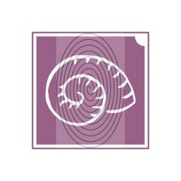 Csigaház (csss0527)