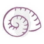 Csigaház (csss0527)