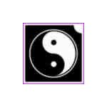 Jin Jang (csss0552)