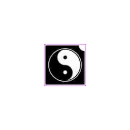 Jin Jang (csss0552)