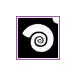 Csigaház (csss0556)