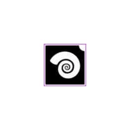 Csigaház (csss0556)