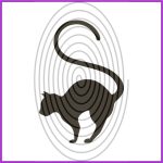 Cica (csss0558)
