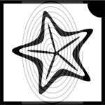 Tengeri csillag (csss0562)
