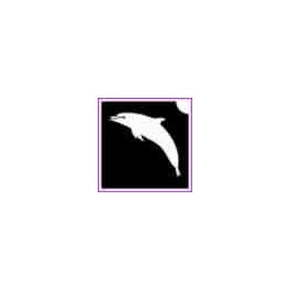 Delfin (csss0565)