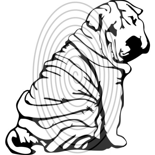 Shar pei 2. - falmatrica