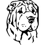 Shar Pei fej - vasalható matrica
