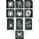 Pókok, pókhálók -  csillámtetoválás SABLON készlet - 10 darabos