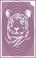 Tigris fej (csss0504)